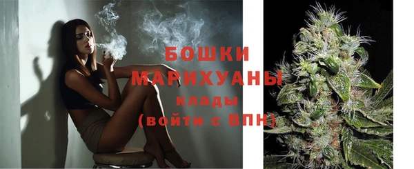 PSILOCYBIN Баксан