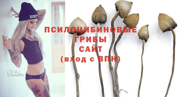 PSILOCYBIN Баксан