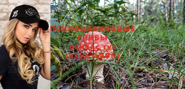PSILOCYBIN Баксан