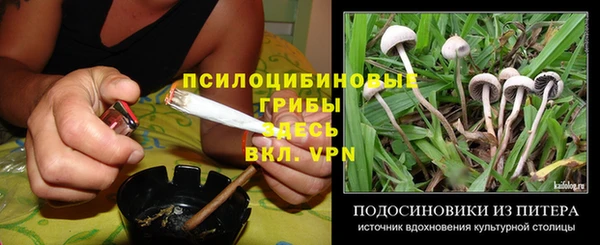 PSILOCYBIN Баксан