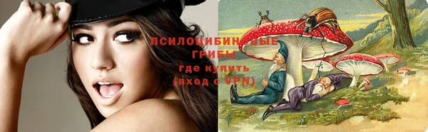 PSILOCYBIN Баксан