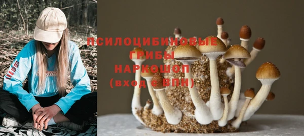 винт Балахна