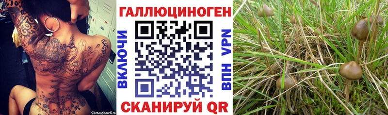 гидра ССЫЛКА  Пыть-Ях  Галлюциногенные грибы Cubensis 